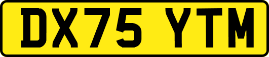 DX75YTM