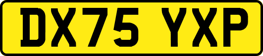 DX75YXP