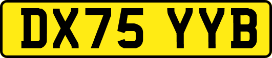 DX75YYB