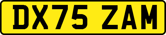 DX75ZAM