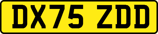 DX75ZDD