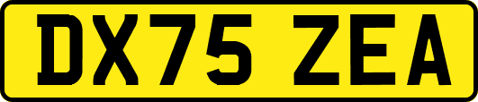 DX75ZEA