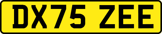 DX75ZEE