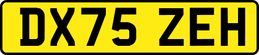 DX75ZEH