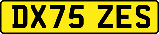 DX75ZES