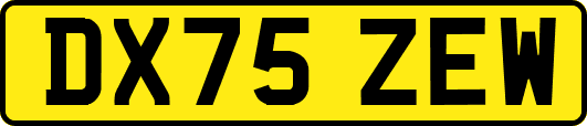DX75ZEW