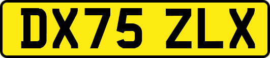 DX75ZLX