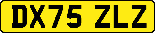 DX75ZLZ