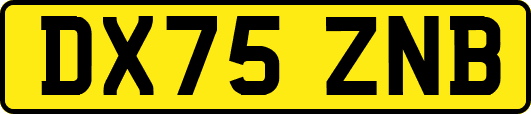 DX75ZNB