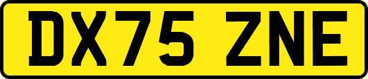 DX75ZNE