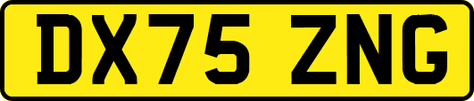 DX75ZNG
