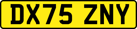 DX75ZNY