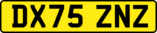 DX75ZNZ