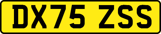DX75ZSS