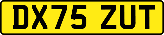 DX75ZUT