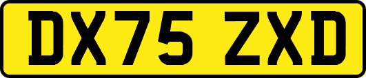 DX75ZXD