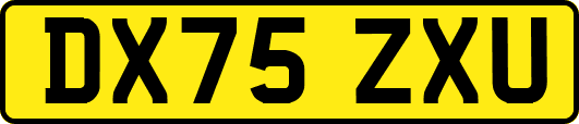 DX75ZXU