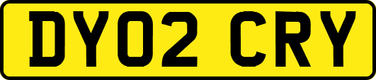DY02CRY