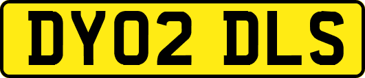 DY02DLS