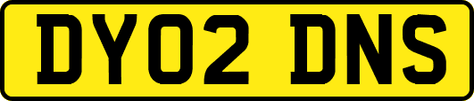 DY02DNS