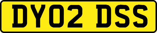 DY02DSS