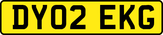 DY02EKG