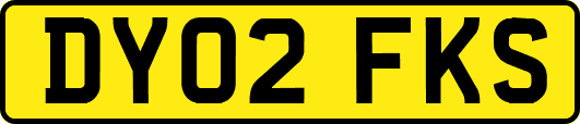 DY02FKS