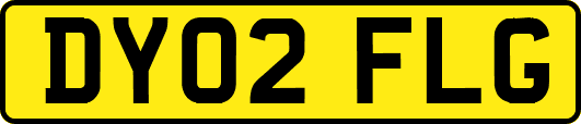 DY02FLG