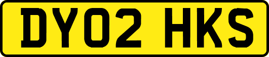 DY02HKS
