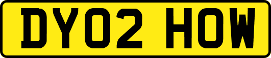 DY02HOW