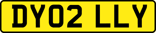 DY02LLY