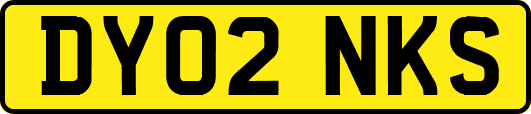 DY02NKS