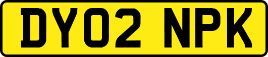 DY02NPK