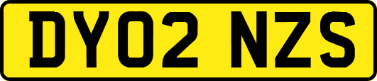 DY02NZS
