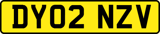 DY02NZV