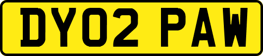 DY02PAW