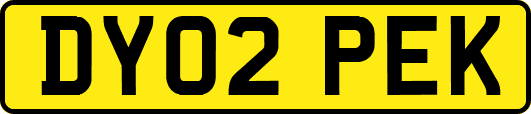 DY02PEK