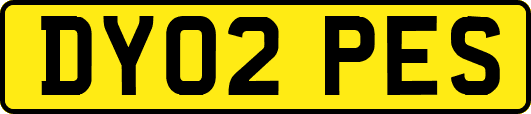 DY02PES