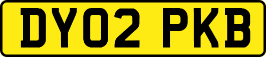 DY02PKB