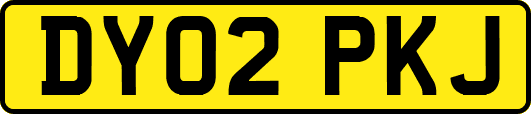DY02PKJ