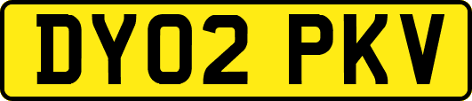 DY02PKV