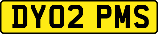 DY02PMS