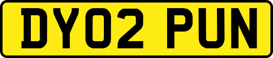 DY02PUN