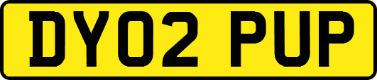 DY02PUP
