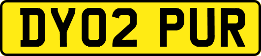 DY02PUR
