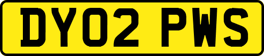 DY02PWS