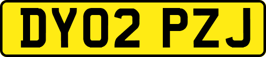 DY02PZJ