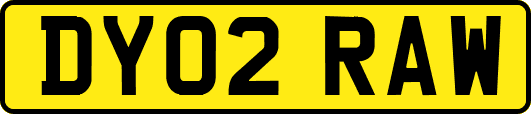 DY02RAW