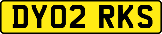 DY02RKS