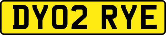DY02RYE
